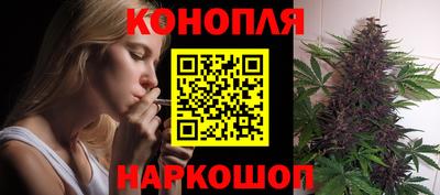 apvp Краснодар